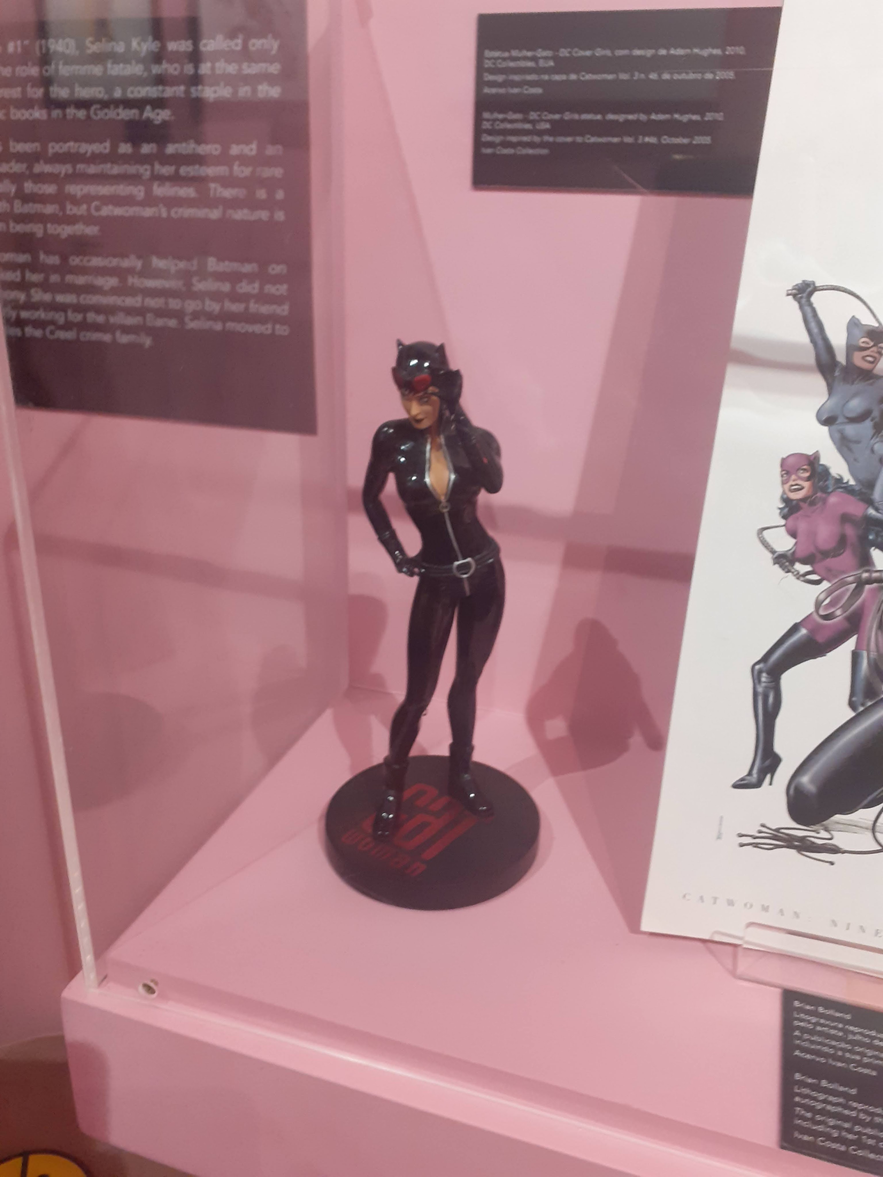 Mulher-Gato: A Boa Vilã?